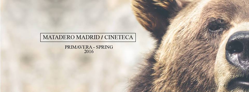 madrid surf film festival