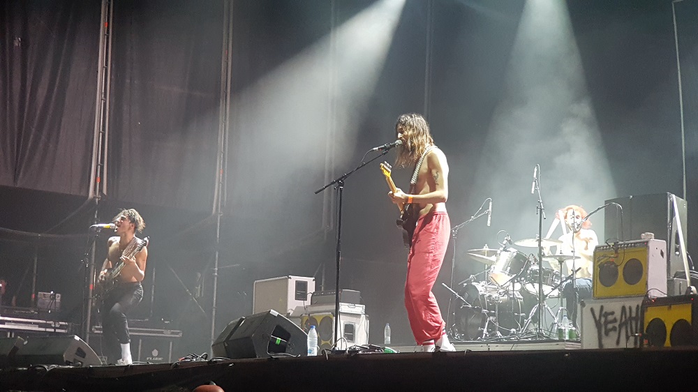 sexy zebras arenal sound