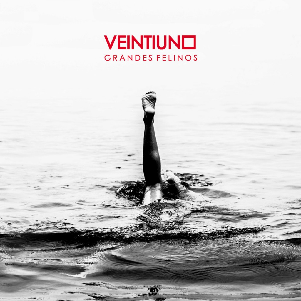 veintiuno grandes felinos