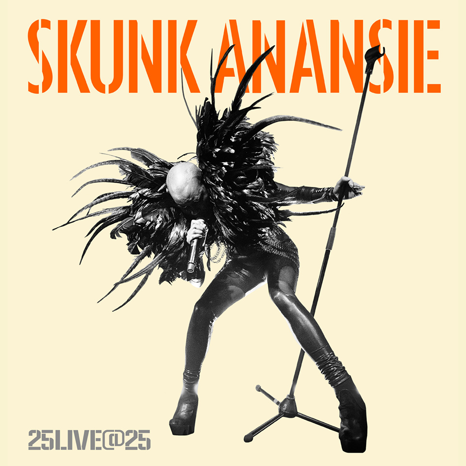 skunk anansie 25 live