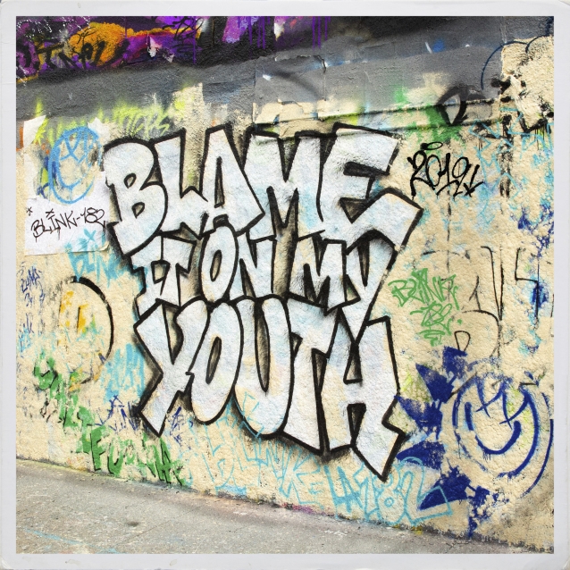 blink182-blameitonyouth