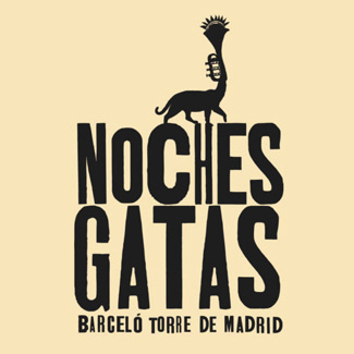 noches-gatas