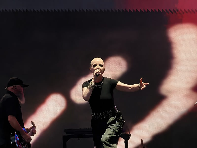 Garbage en noches del botanico de Madrid