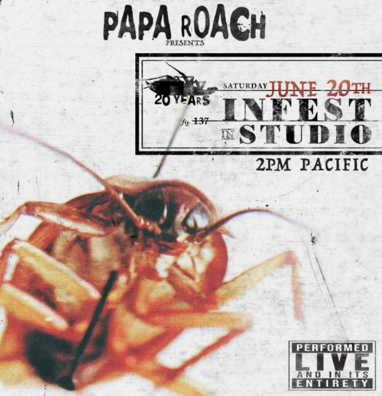 paap roach infest 2