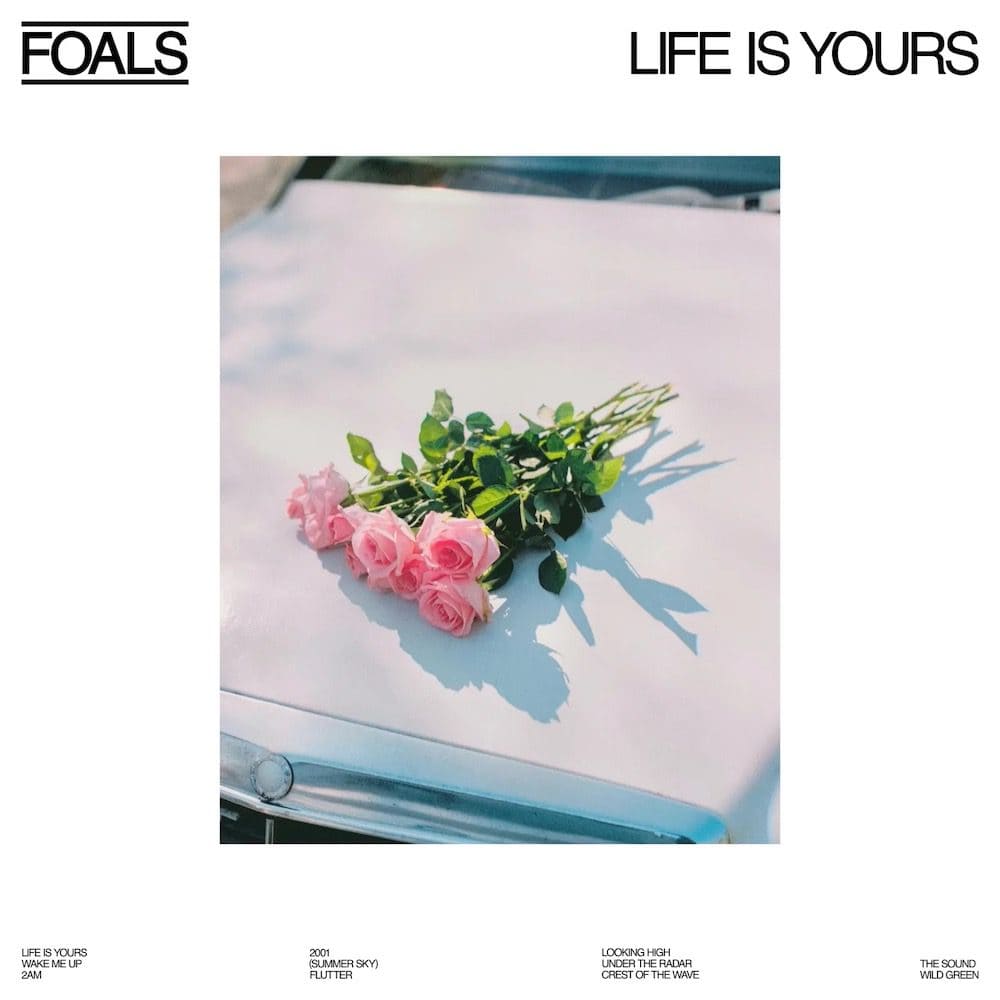 foals disco life is yours