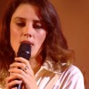 wolf alice