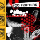 foo fightersyour favorite toy