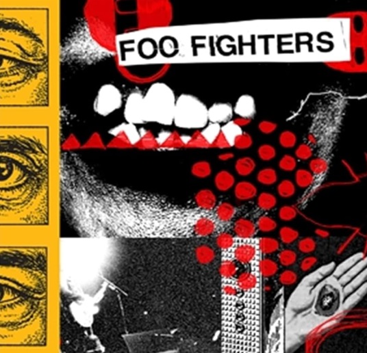 foo fightersyour favorite toy